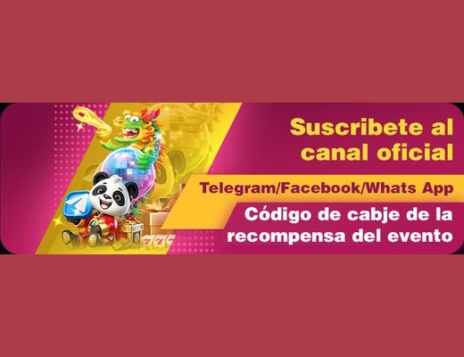 6PP — cláusulas contratuais que disciplinam o uso da plataforma